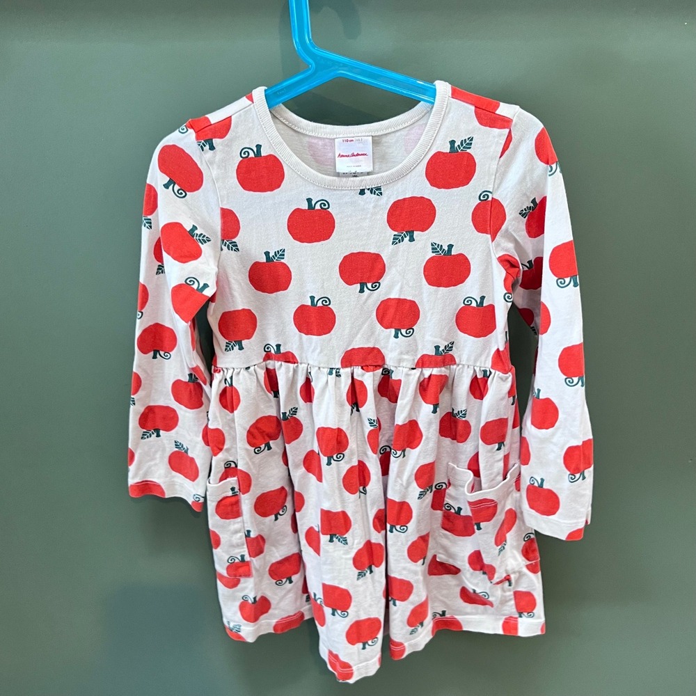 Hanna Andersson Kids Dress Apples Print Long Sleeve Size 110cm US 5